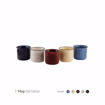 تصویر از ماگ دالمیشن در رنگهای مختلف 420 وایت پلیت یک عددی
