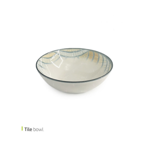 تصویر از کاسه تایل 24 سانت وایت پلیت کد 14.5745m یک عددی end