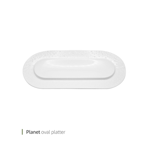 تصویر از دیس اوال پلنت 41 سانت وایت پلیت کد 91.27395 یک عددی