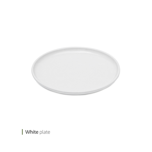 تصویر از پیش دستی سفید 22 سانت وایت پلیت کد 10.5119 یک عددی