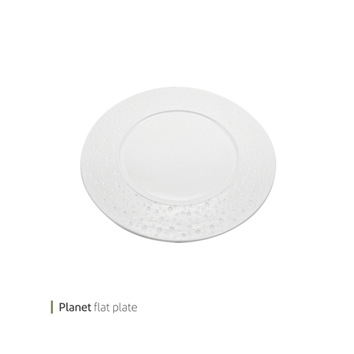 تصویر از دیس فلت پلنت 31 سانت وایت پلیت کد 91.27401 یک عددی