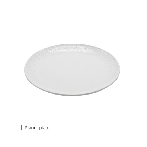 تصویر از دیس پلنت 30 سانت وایت پلیت کد 91.27776 یک عددی