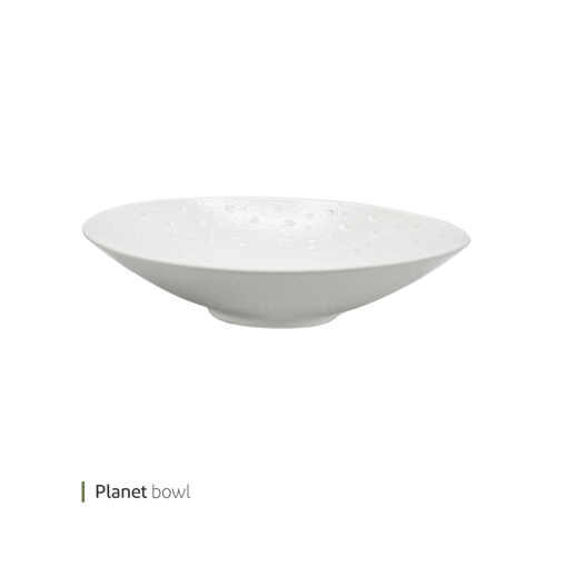 تصویر از کاسه پلنت 25 سانت وایت پلیت کد 91.27708 یک عددی