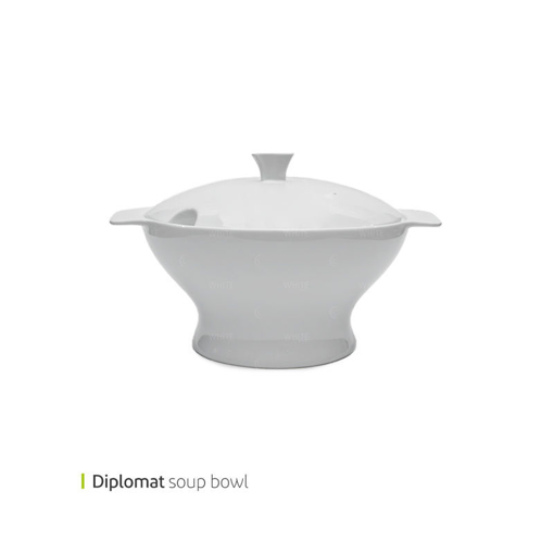 تصویر از سوپ خوری درب دار بیضی دیپلمات لورین کد 3257m یک عددی