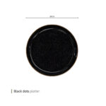 دیس بلک داتس 29 سانت وایت پلیت کد 880.99 یک عددی - تصویر 2