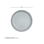 دیس دیسشیپ داتس وایت پلیت کد 880.104m یک عددی - تصویر 2