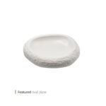 دیس گود بیضی فیچرد 22 سانت وایت پلیت کد 87.30029 یک عددی - تصویر 2